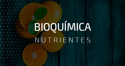 Bioquímica de Nutrientes