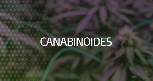 Canabinoides