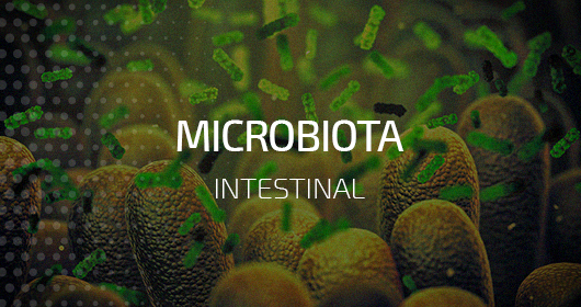Microbiota intestinal